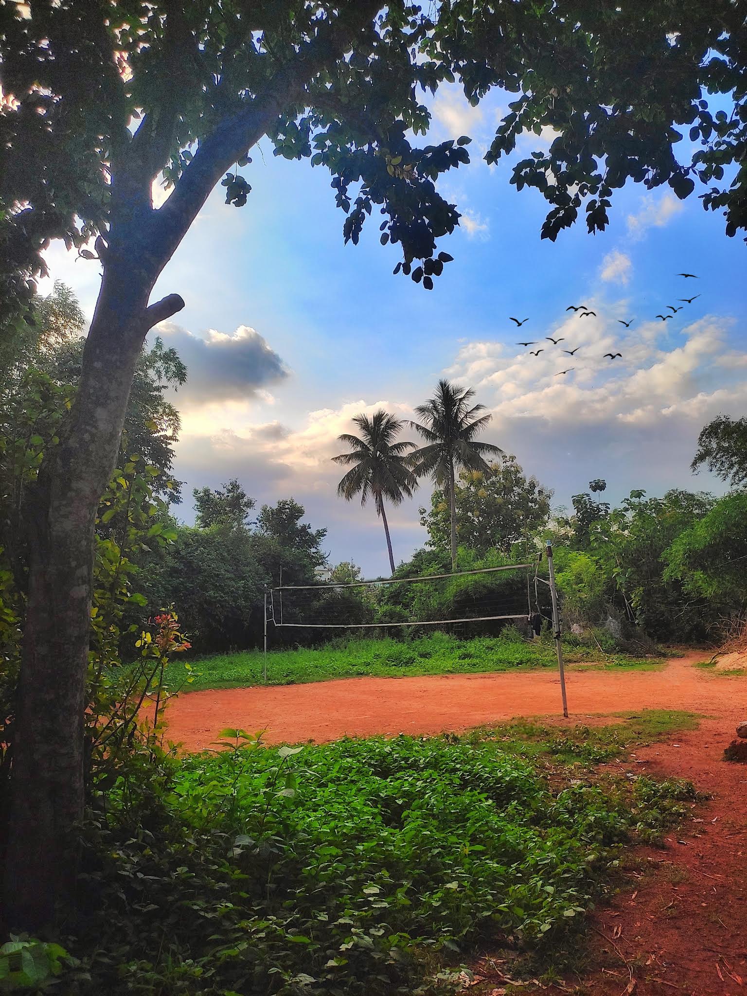 Shyampur Volley Club — Volleyball in Khandagiri, Bhubaneswar