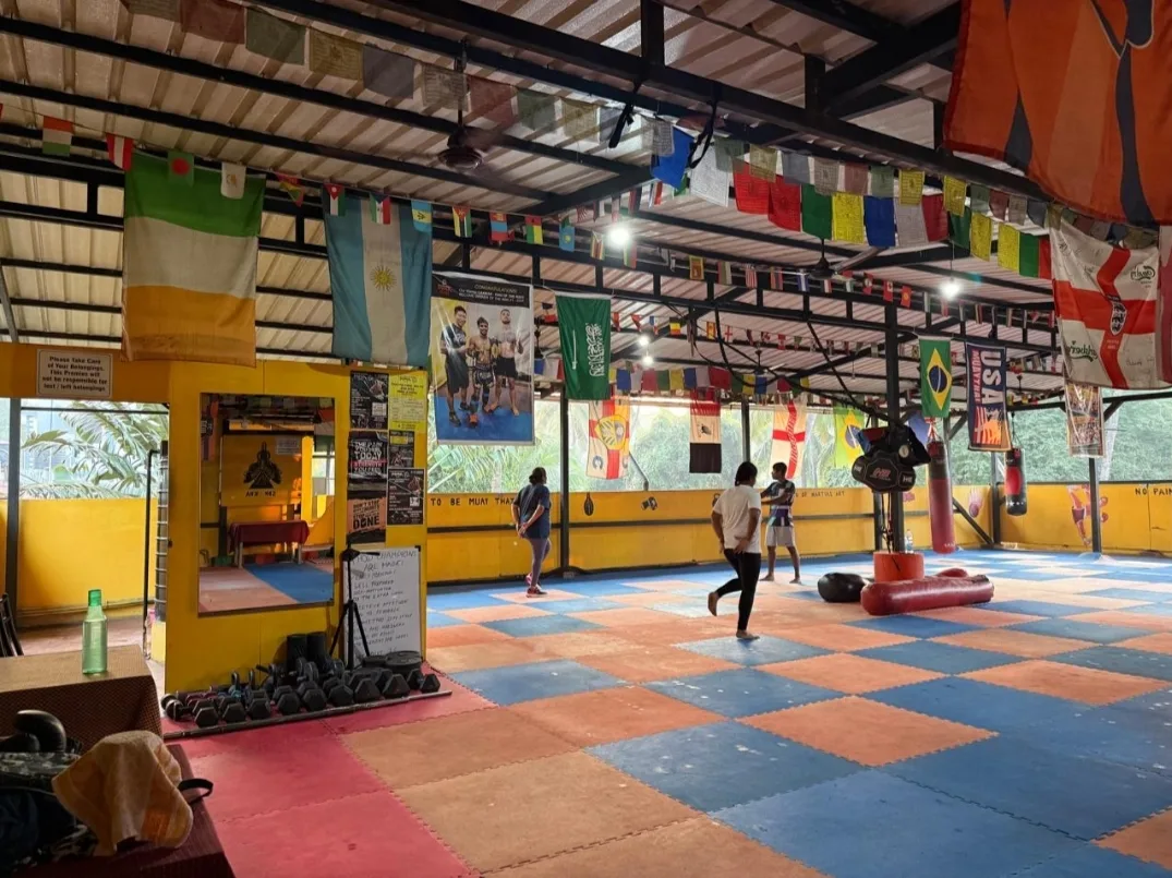 Tashi's Pro Fitness MMA Gym — Karate in Campal, Goa