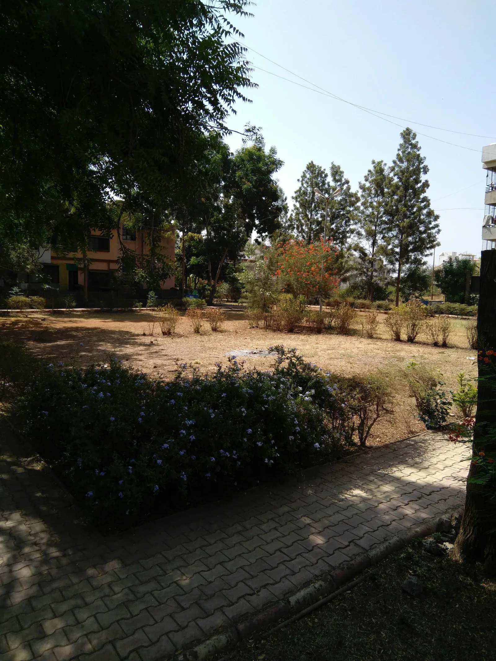 Anusaya Nagar Cricket Ground — Cricket in Dwarka, Nashik