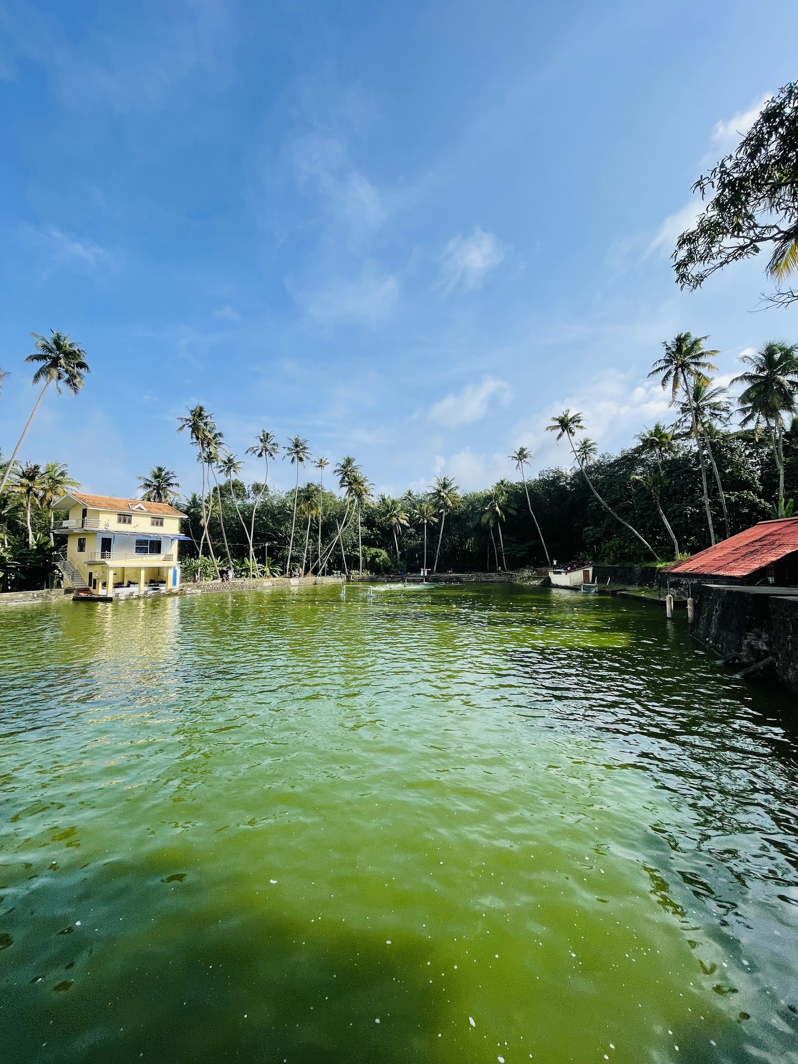 Dolphin Club Swimming Pool — Swimming in Pothencode, Trivandrum