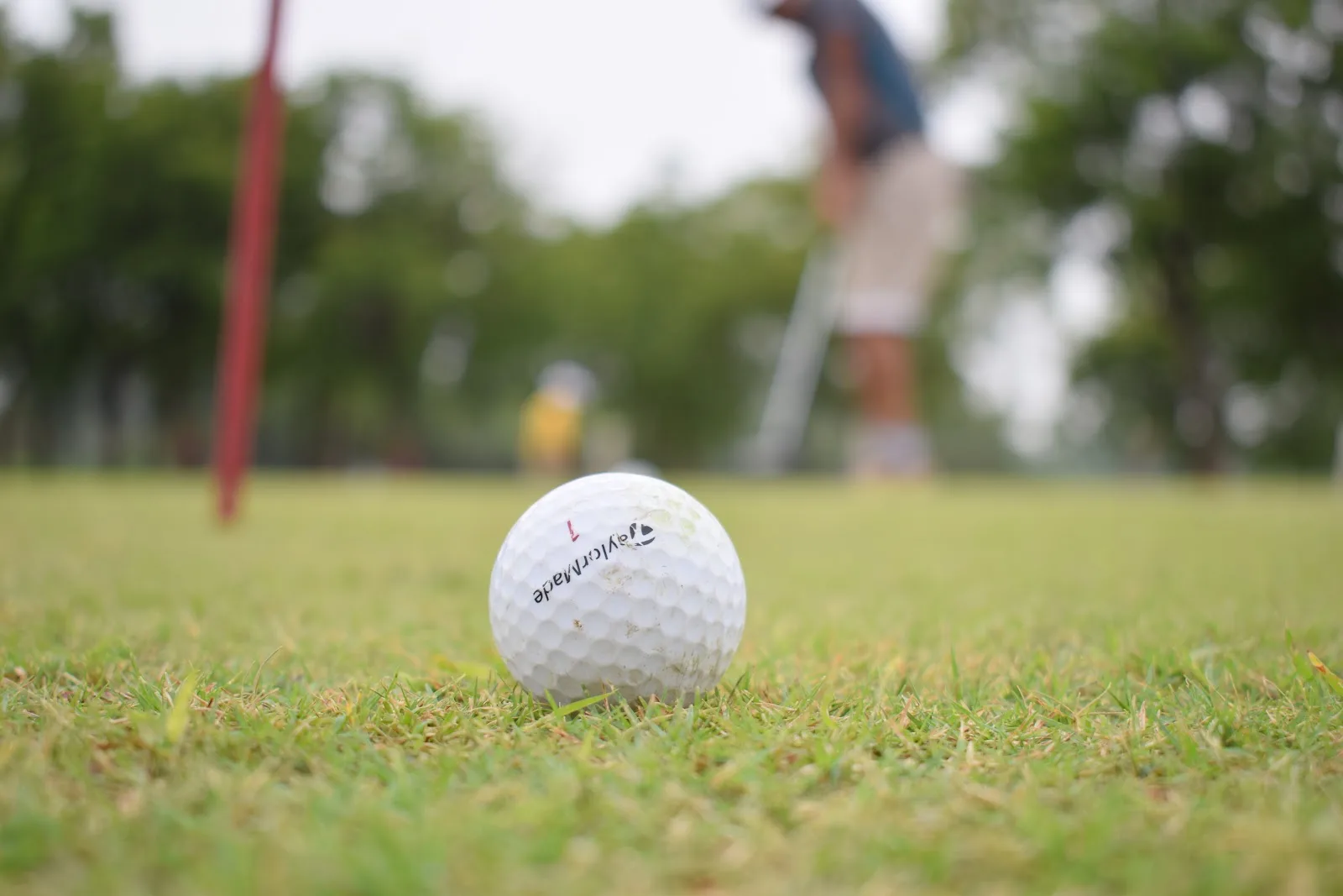 BHEL Golf Club — Other Sports in Bhel Township, Bhopal