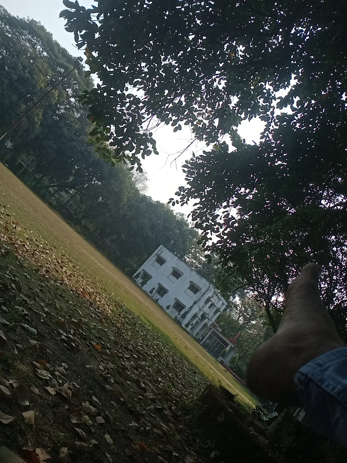 Badminton Ground RCVP Naronha Academy — Badminton in Ci Villa, Bhopal