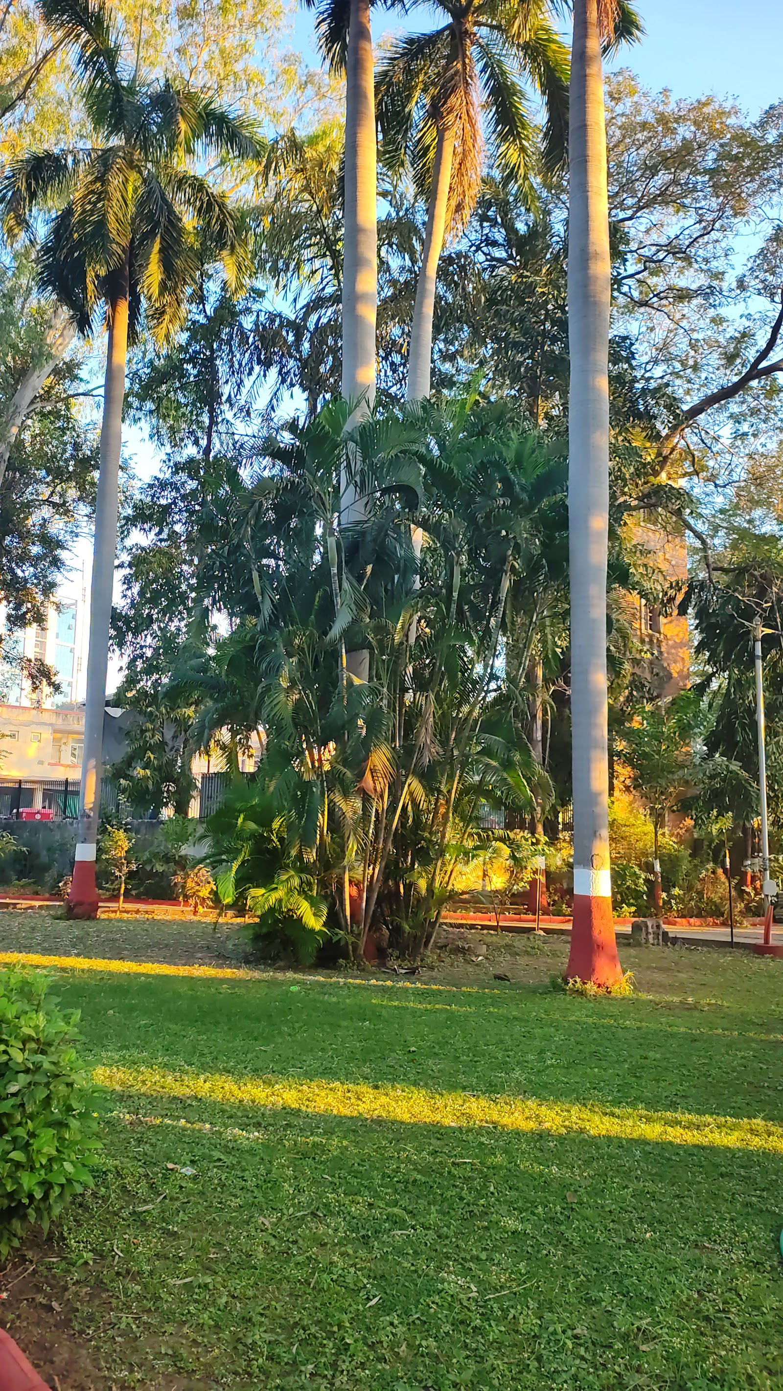 Sardar Baug — Swimming in Alkapuri, Vadodara