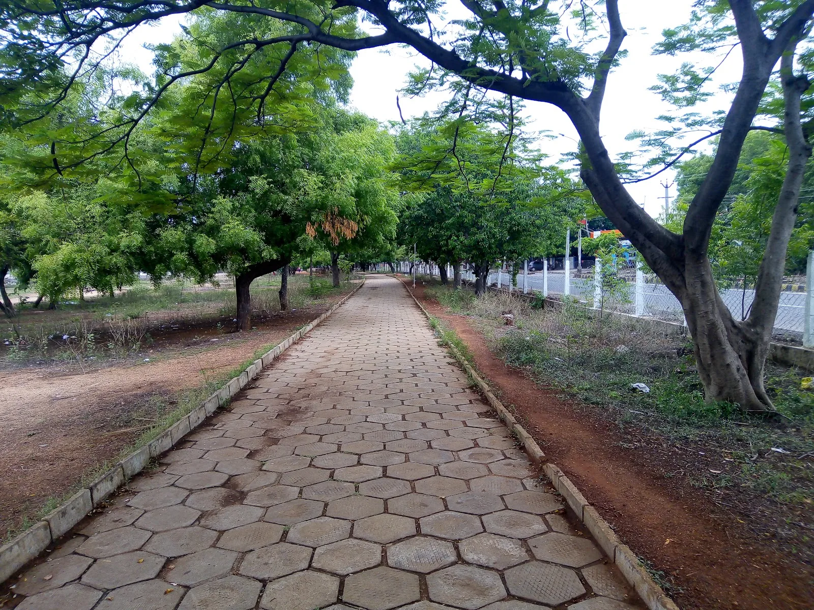 Walkers Club — Skating in Kk Nagar, Madurai