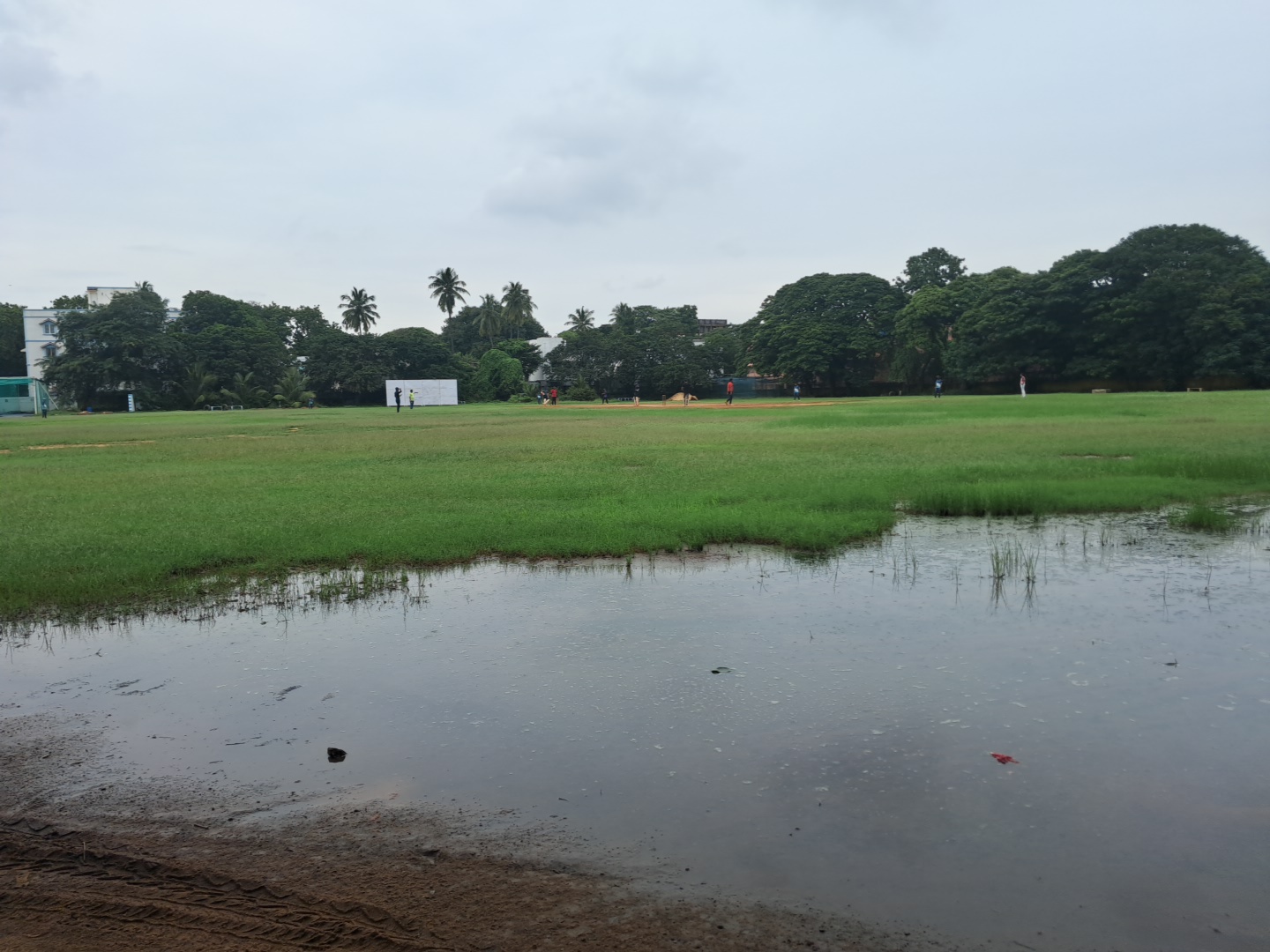 Vivekananda Cricket Ground — Cricket in Mylapore, Chennai