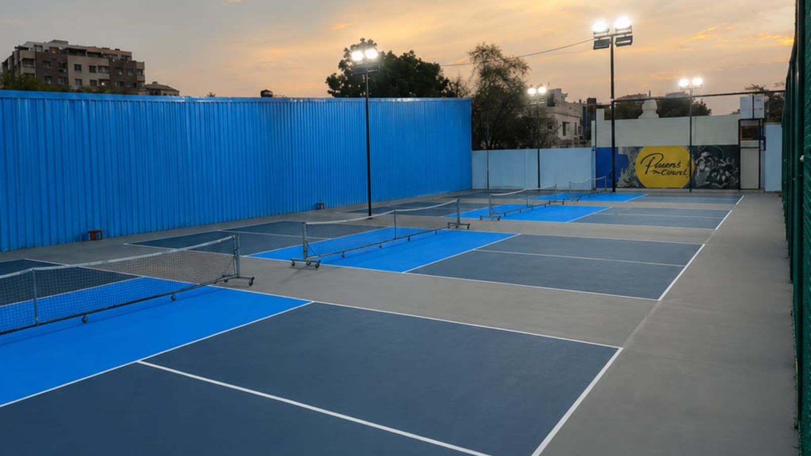 Param's Pickleball — Pickleball in Mahaveer Colony Park