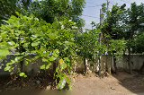 GHMC Tennis court — Tennis in Kukatpally, Hyderabad