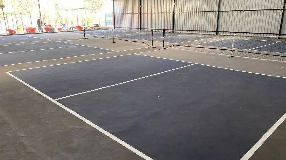 Plates And Paddles — Pickleball in Vajdi