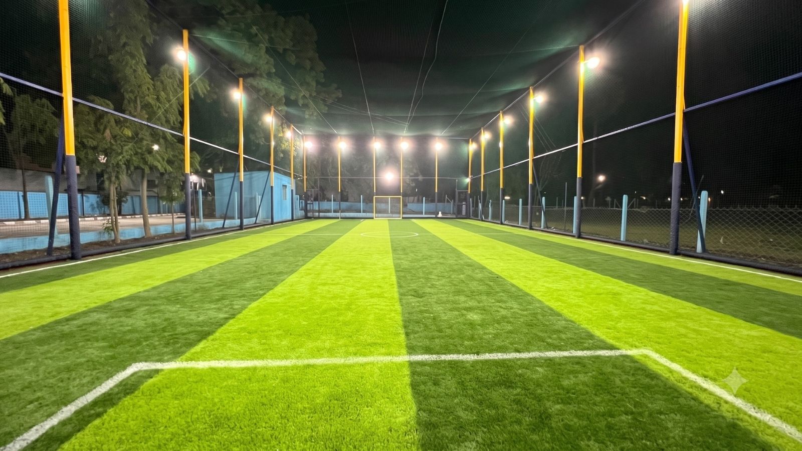 The Power Turf — Cricket in Kalaji Goraji