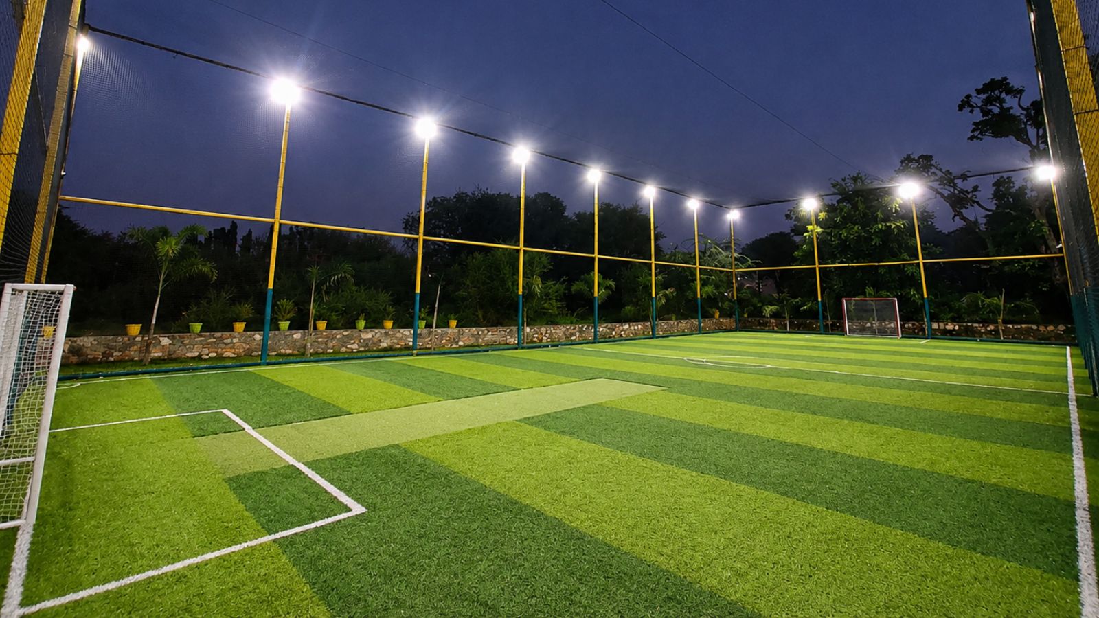 The Sports Villa — Cricket in Basant Vatika
